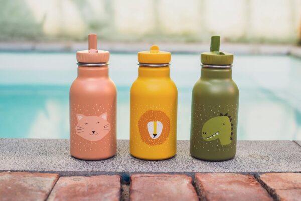 Sticla Otel inoxidabil pentru apa copii - Leu 350 ml - imagine 3