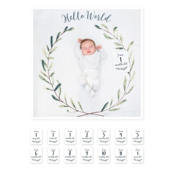 Muselina Milestone  pentru fotografii - Lulujo Hello World