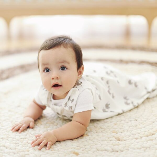 Sac de Dormit Ergobaby Clasic Elefant 0-6 luni, 1 Tog - imagine 3